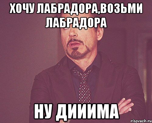 Хочу лабрадора,возьми лабрадора Ну дииима, Мем твое выражение лица