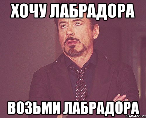 Хочу лабрадора Возьми лабрадора, Мем твое выражение лица