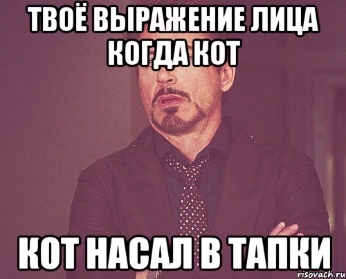 твоё выражение лица когда кот кот насал в тапки, Мем твое выражение лица