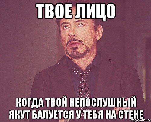 ТВОЕ ЛИЦО когда твой непослушный якут балуется у тебя на стене, Мем твое выражение лица