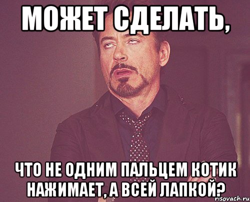 может сделать, что не одним пальцем котик нажимает, а всей лапкой?, Мем твое выражение лица