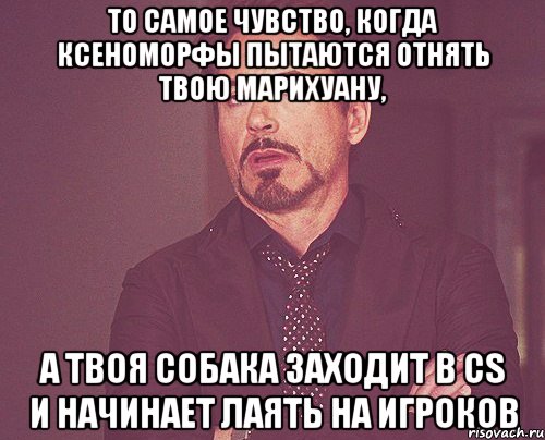 ТО САМОЕ ЧУВСТВО, КОГДА КСЕНОМОРФЫ ПЫТАЮТСЯ ОТНЯТЬ ТВОЮ МАРИХУАНУ, А ТВОЯ СОБАКА ЗАХОДИТ В CS И НАЧИНАЕТ ЛАЯТЬ НА ИГРОКОВ, Мем твое выражение лица