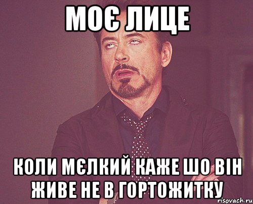 МОЄ ЛИЦЕ КОЛИ МЄЛКИЙ КАЖЕ ШО ВІН ЖИВЕ НЕ В ГОРТОЖИТКУ, Мем твое выражение лица