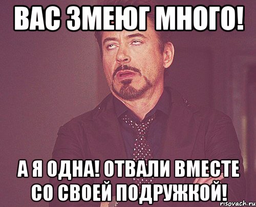 Вас змеюг много! а Я одна! отвали вместе со своей подружкой!, Мем твое выражение лица