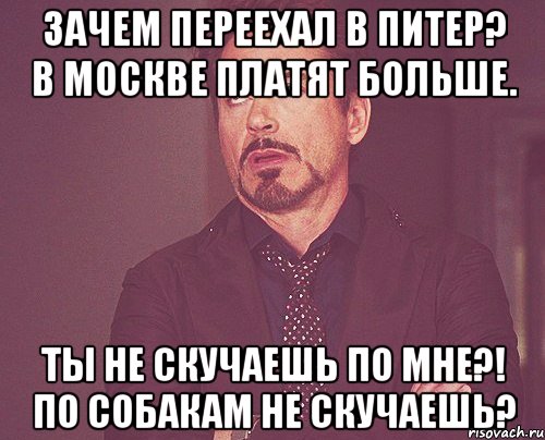 Зачем переехал в Питер? В Москве платят больше. Ты не скучаешь по мне?! По собакам не скучаешь?, Мем твое выражение лица
