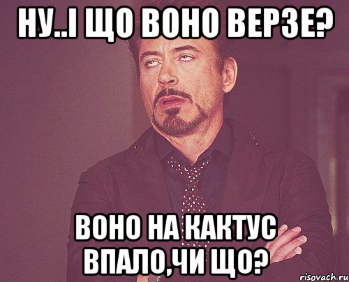 Ну..і що воно верзе? воно на кактус впало,чи що?, Мем твое выражение лица