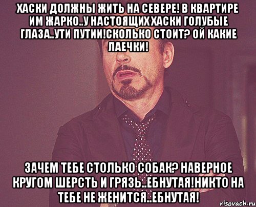 Хаски должны жить на севере! В квартире им жарко..У настоящих хаски голубые глаза..Ути путии!сколько стоит? ой какие лаечки! Зачем тебе столько собак? Наверное кругом шерсть и грязь..Ебнутая!Никто на тебе не женится..Ебнутая!, Мем твое выражение лица