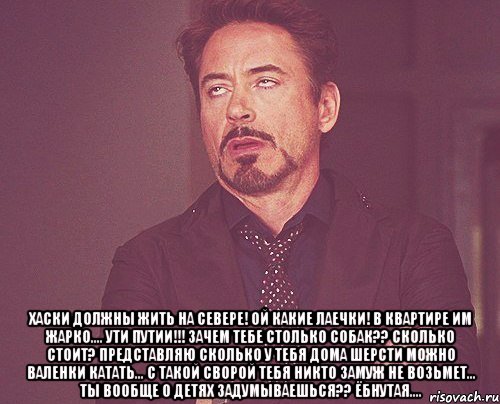  Хаски должны жить на севере! Ой какие лаечки! В квартире им жарко.... Ути путии!!! Зачем тебе столько собак?? Сколько стоит? Представляю сколько у тебя дома шерсти можно валенки катать... С такой сворой тебя никто замуж не возьмет... Ты вообще о детях задумываешься?? Ёбнутая...., Мем твое выражение лица