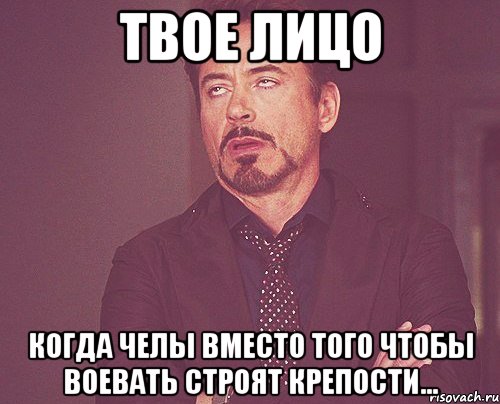 твое лицо когда челы вместо того чтобы воевать строят крепости..., Мем твое выражение лица