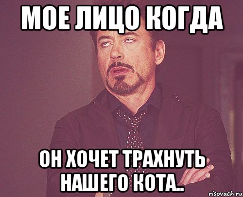 МОЕ ЛИЦО КОГДА ОН ХОЧЕТ ТРАХНУТЬ НАШЕГО КОТА.., Мем твое выражение лица