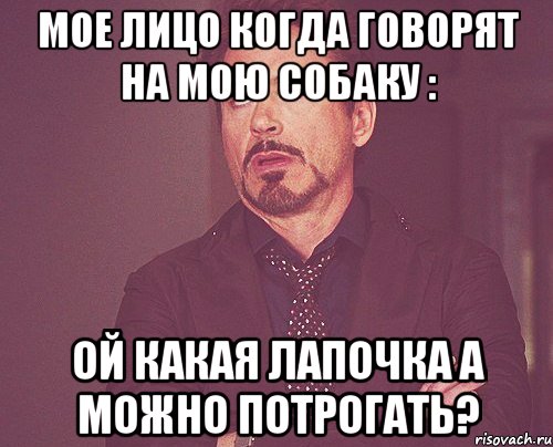 Мое лицо когда говорят на мою собаку : Ой какая лапочка а можно потрогать?, Мем твое выражение лица