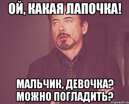Ой, какая лапочка! Мальчик, девочка? Можно погладить?, Мем твое выражение лица