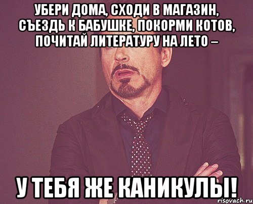 Убери дома, сходи в магазин, съездь к бабушке, покорми котов, почитай литературу на лето – у тебя же каникулы!, Мем твое выражение лица