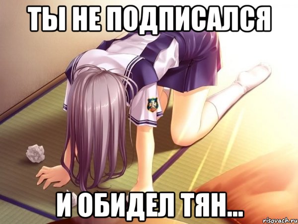 ты не подписался и обидел тян..., Мем тян