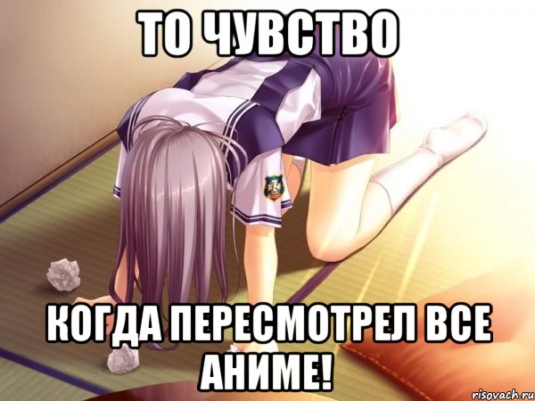 То чувство Когда пересмотрел все Аниме!, Мем тян