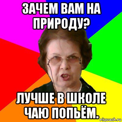 Зачем вам на природу? Лучше в школе чаю попьём., Мем Типичная училка