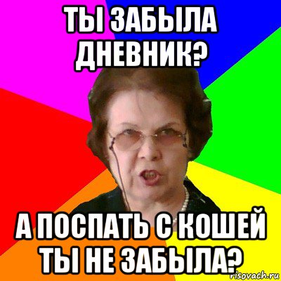 ты забыла дневник? а поспать с кошей ты не забыла?, Мем Типичная училка