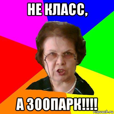 Не класс, А зоопарк!!!!, Мем Типичная училка