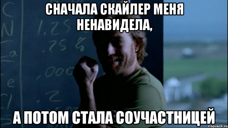 Сначала Скайлер меня ненавидела, А потом стала соучастницей, Мем Уолтер - тролль