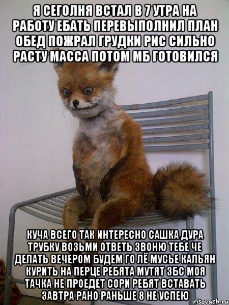 я сеголня встал в 7 утра на работу ебать перевыполнил план обед пожрал грудки рис сильно расту масса потом МБ готовился куча всего так интересно сашка дура трубку возьми ответь звоню тебе че делать вечером будем го лё мусье кальян курить на перце ребята мутят збс моя тачка не проедет сори ребят вставать завтра рано раньше 8 не успею, Мем Упоротая лиса