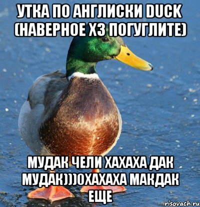 Утка по англиски DUCK (наверное хз погуглите) Мудак чели хахаха дак мудак)))0хахаха макдак еще, Мем Утка мем