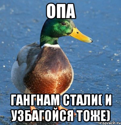 Опа Гангнам стали( и узбагойся тоже), Мем Утка мем