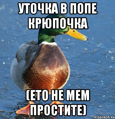 уточка в попе крюпочка (ето не мем простите), Мем Утка мем