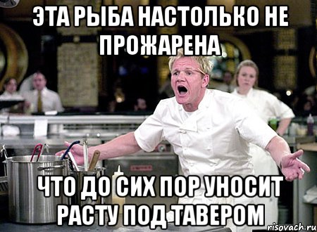 Эта рыба настолько не прожарена Что до сих пор уносит расту под тавером, Мем Шеф Рамзи