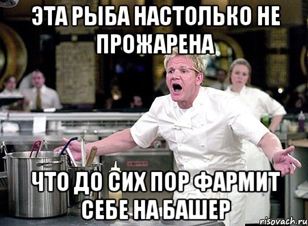 Эта рыба настолько не прожарена Что до сих пор фармит себе на башер, Мем Шеф Рамзи