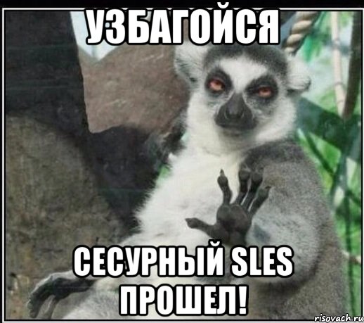 Узбагойся Сесурный SLES прошел!, Мем Все будет збагойно