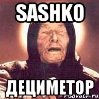 SASHKO ДЕЦИМЕТОР, Мем Ванга (цвет)