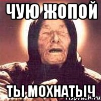 ЧУЮ ЖОПОЙ ТЫ МОХНАТЫЧ, Мем Ванга (цвет)