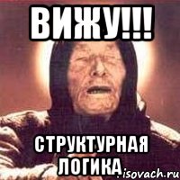 вижу!!! структурная логика, Мем Ванга (цвет)