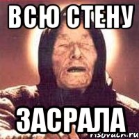 ВСЮ СТЕНУ ЗАСРАЛА, Мем Ванга (цвет)