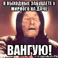 в выходные забухаете у мирного на даче вангую!, Мем Ванга (цвет)