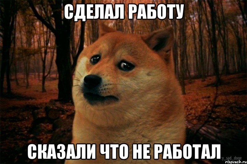 сделал работу сказали что не работал, Мем SAD DOGE