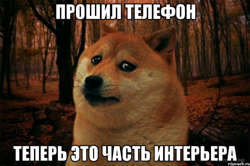 прошил телефон теперь это часть интерьера, Мем SAD DOGE