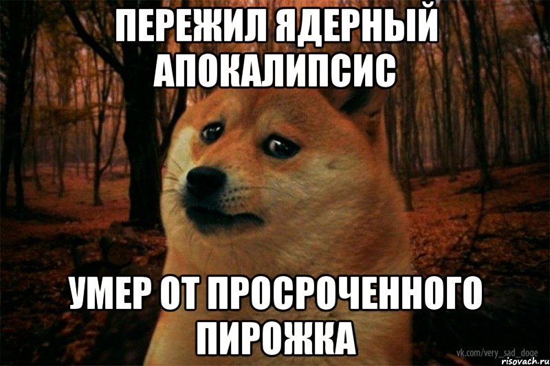 пережил ядерный апокалипсис умер от просроченного пирожка, Мем SAD DOGE