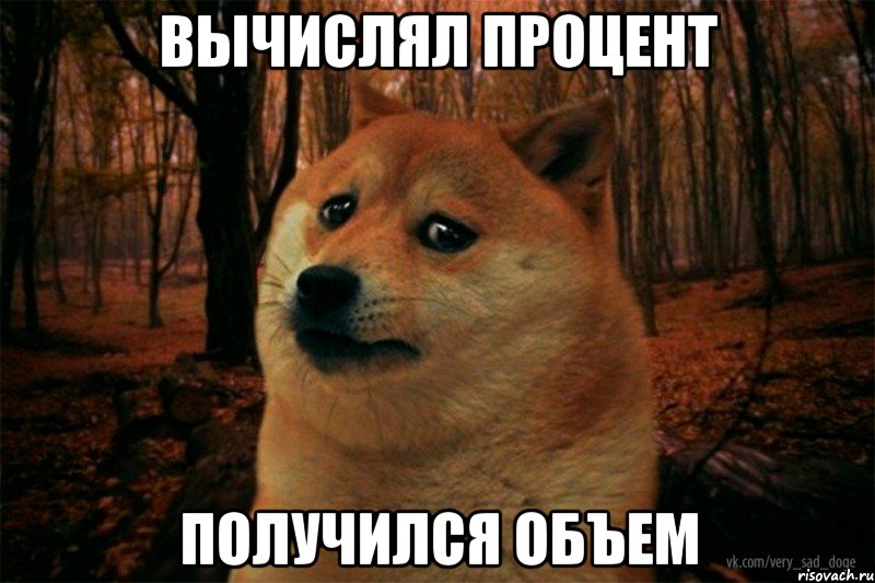 вычислял процент получился объем, Мем SAD DOGE