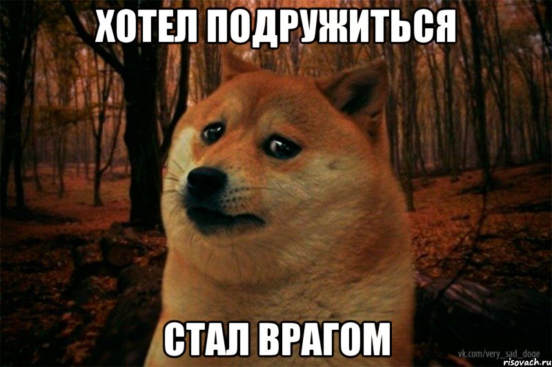 хотел подружиться стал врагом, Мем SAD DOGE