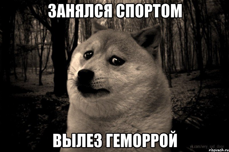 занялся спортом вылез геморрой