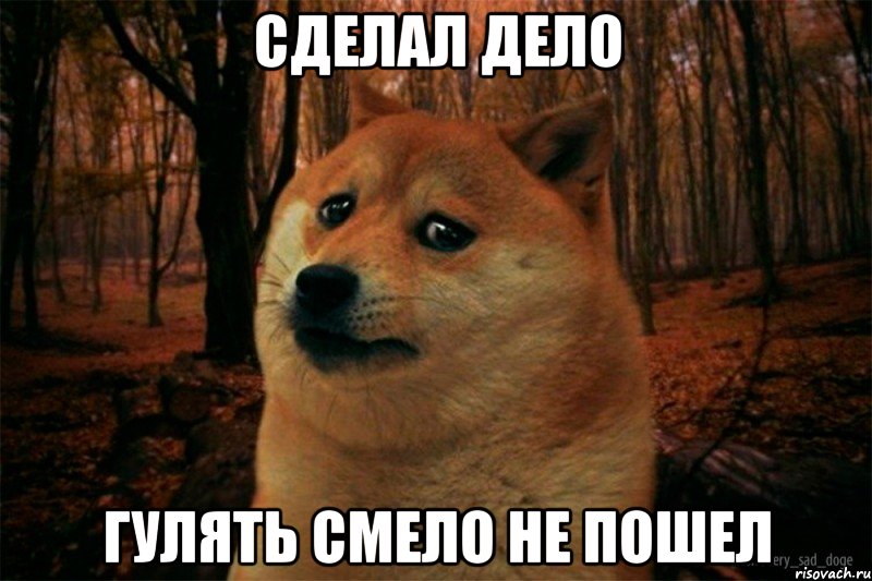 сделал дело гулять смело не пошел, Мем SAD DOGE