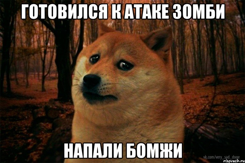 готовился к атаке зомби напали бомжи, Мем SAD DOGE