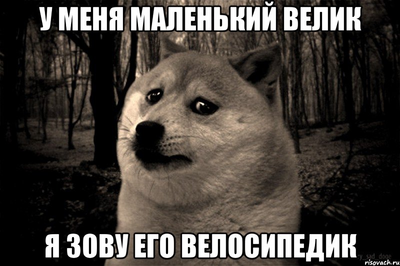 у меня маленький велик я зову его велосипедик