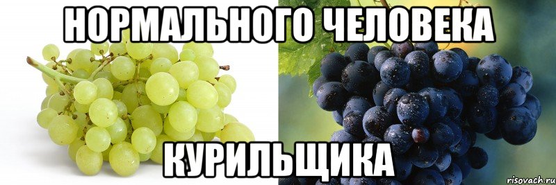 Нормального человека курильщика