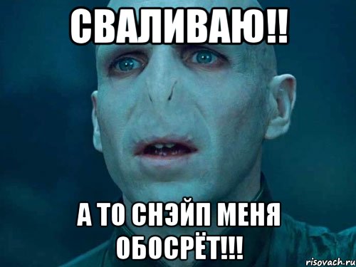 Сваливаю!! А то Снэйп меня обосрёт!!!, Мем Волан де Морт