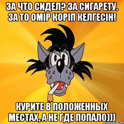 За что сидел? За сигарету, за то омiр корiп келгесiн! Курите в положенных местах, а не где попало))), Мем Волк