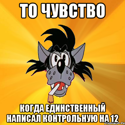 То чувство Когда единственный написал контрольную на 12, Мем Волк