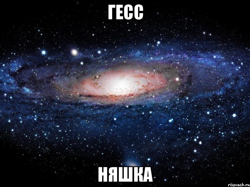 Гесс Няшка, Мем Вселенная