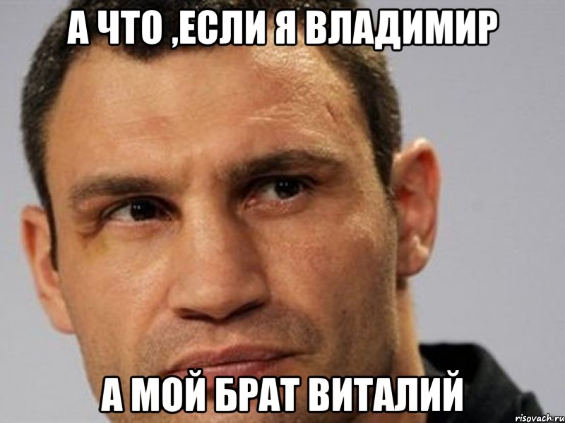 а что ,если я владимир а мой брат виталий